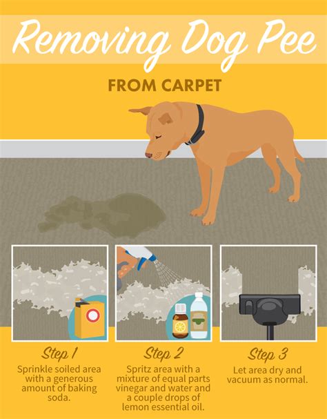 cleaning pet urine from waterhog mat